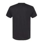 Next Level Unisex Triblend T-Shirt