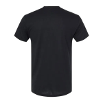 Next Level Unisex Triblend T-Shirt